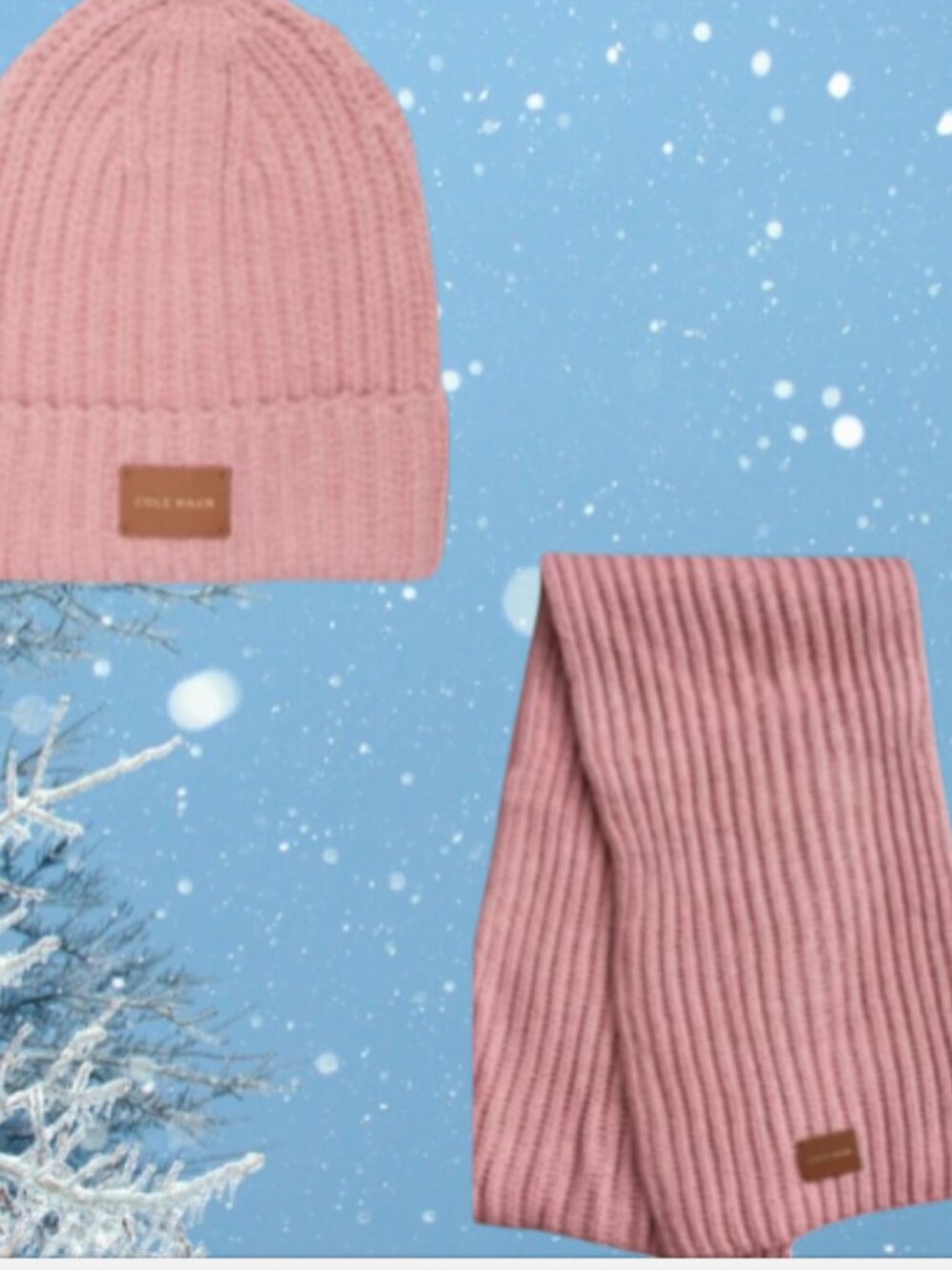 Cole Haan Chunky Knit Scarf & Beanie OS NWT